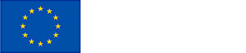 A body of the European Union